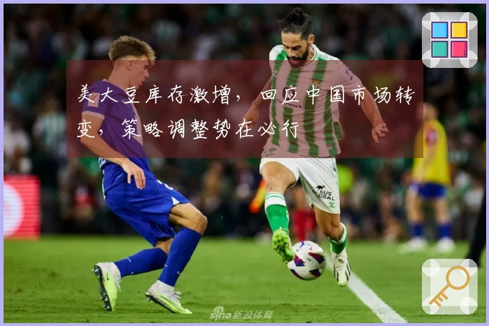 美大豆库存激增，回应中国市场转变，策略调整势在必行